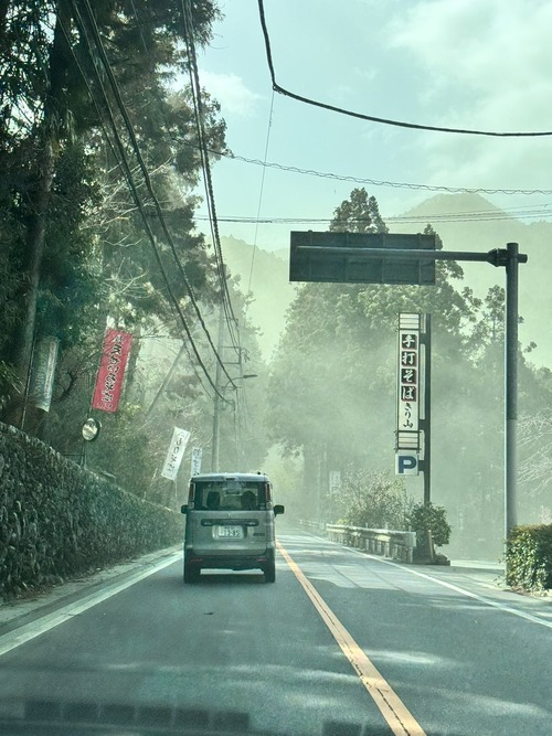 【画像】花粉、マジでヤバイ。お前らの想像の5倍はヤバいｗｗｗｗ
